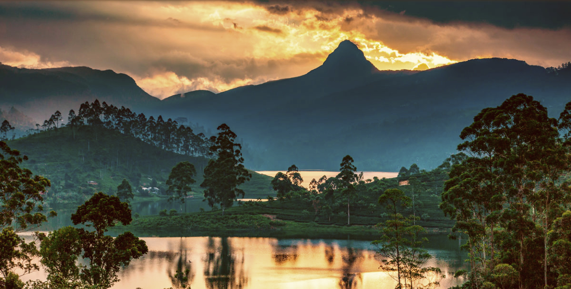 Voyage à Nuwara Eliya : le Pic d'Adam